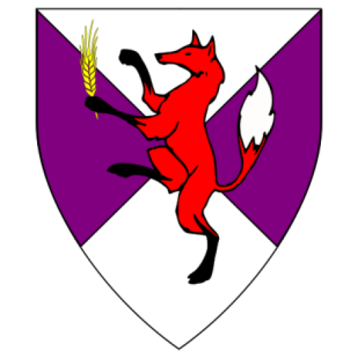 The Arms of Noble Scandal mac Rofir